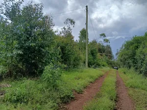 Distress! Prime Redsoil 50 by 100 Plot in Upper Matasia