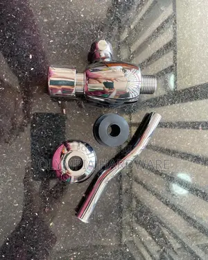 Urinal Flash Valve