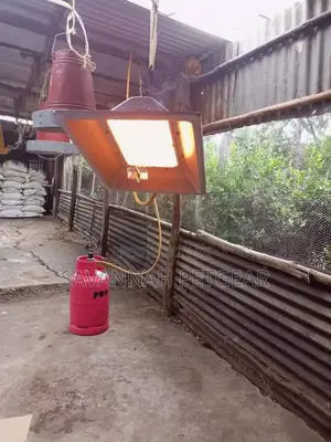 Infrared Gas Ceramic Brooder Heater for Chicks and Piglets