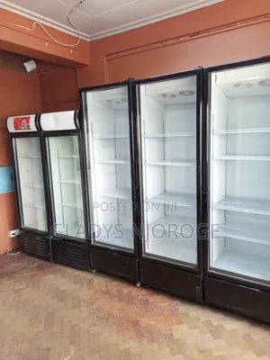 Premier Chiller Display Fridge