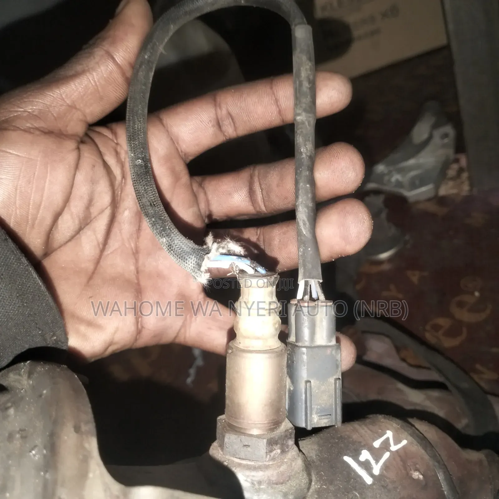 Oxygen Sensor Wish,Premio 1zz