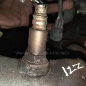 Oxygen Sensor Wish,Premio 1zz
