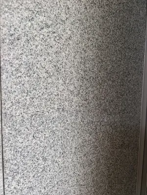 Bianco Sardo Light Granite(8ft * 2ft * 18mm)