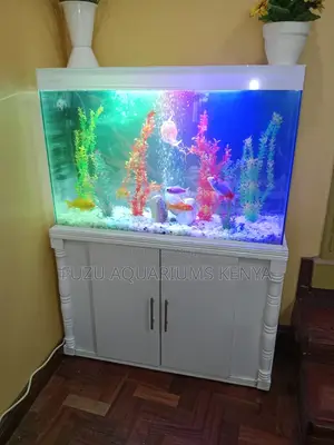 Premium Corner Aquarium With Vibrant Led Lights