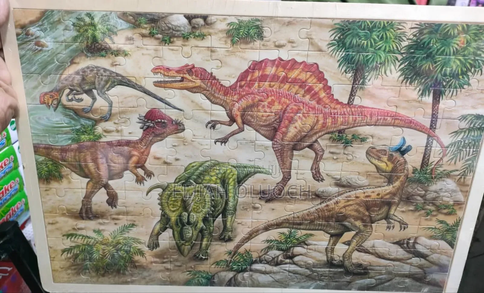 100-Piece Wooden Jigsaw Puzzle