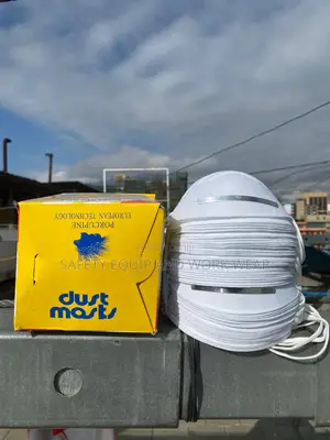 Best Dust Masks