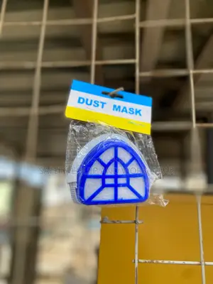 Order Dust Mask Online