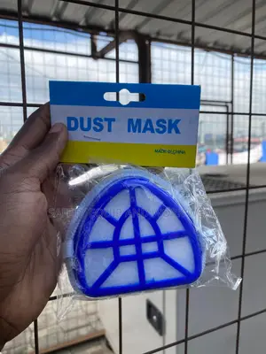 Dust Mask For Allergy Protection