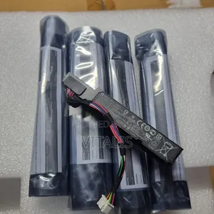 Hp Smart Array Cache Battery.