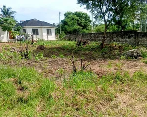 Prime Plot for Sale 40*80 at Utange.