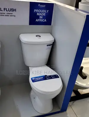 Francia Toilet 009 Has Good Pressure