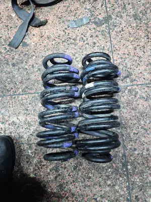 Probox Heany Duty Coil Springs