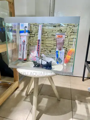 Aquarium for Sale – Peaceful Decorative