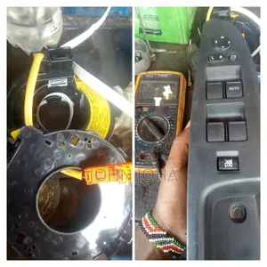 Professional Mechanic
