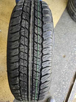 225/70r17 Dunlop Japan