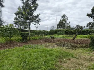 Quarter Acre Plot in Ngong, Kerarapon Drive Touching Tarmac
