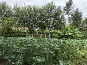 Quarter Acre Plot in Ngong, Kerarapon Drive Touching Tarmac
