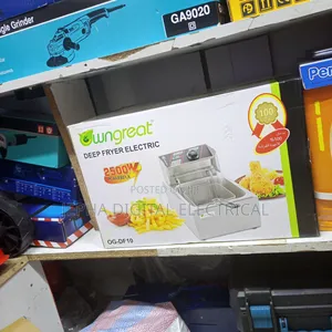 Electric Deep Fryer Machine