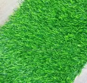 Weather-Resistant Grass Carpets for Every Space – Odeon Nairobi