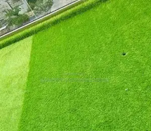 Beautiful Artificial Green Grass Carpet –In Tsavo Road, Odeon