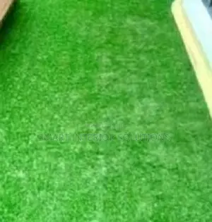 Comfy Artificial Green Grass Carpet in Tsavo Road, Odeon