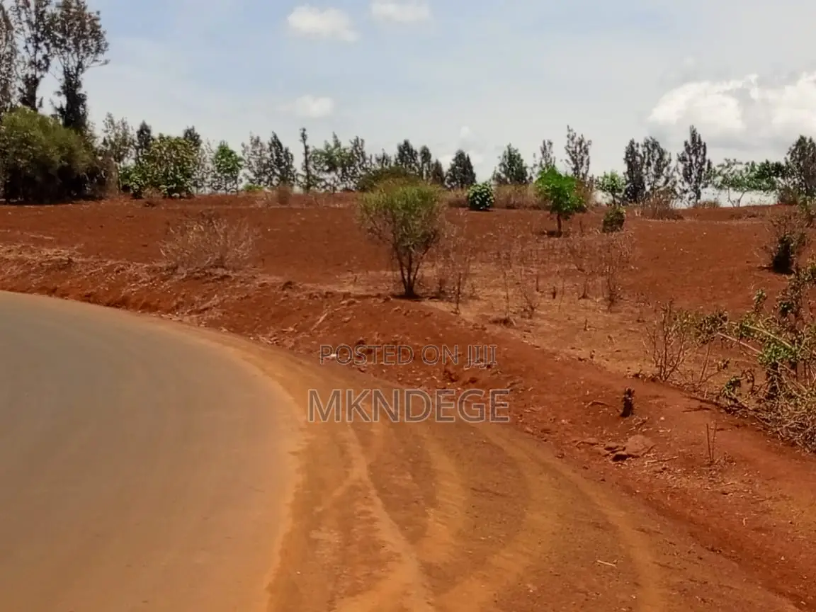 Kiambu - Tatu