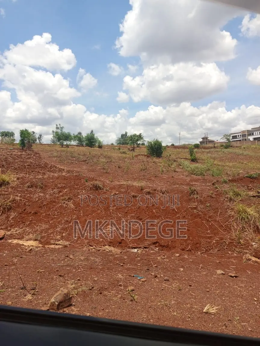 Kiambu - Tatu