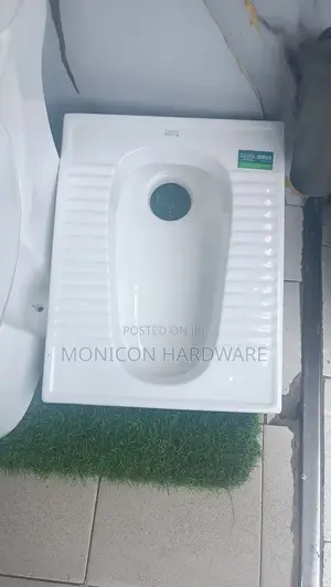 Sawa Step Asian Toilet