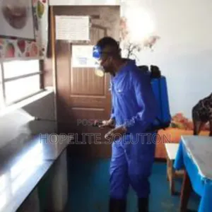 Deep Fumigation Service in Thika