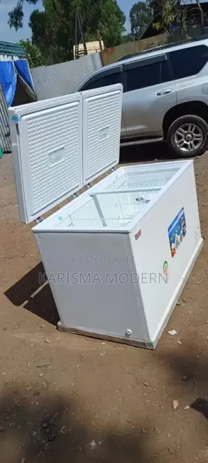 Frozen Food Lockers/Chest Freezer