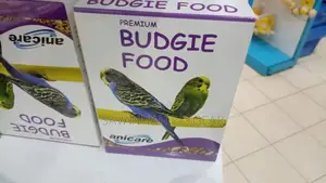 Premium Budgie Food to Meet the Nutritional Needs of Budgies