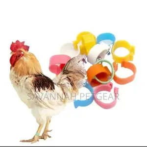Adjustable Chicken Leg Bands In Red,Yellow, Green And White