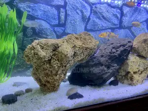 Add Depth With Textured Aquarium Coral Rocks
