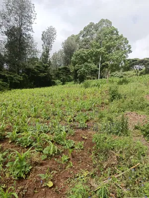 1/8 Acre Ngong