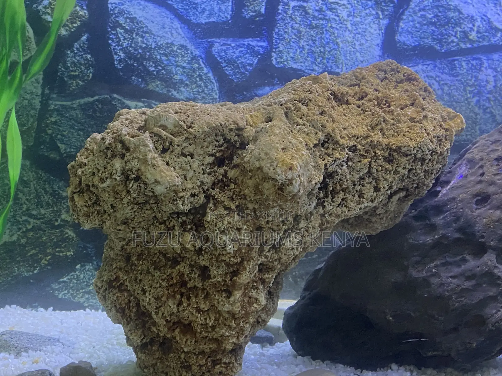 Coral Rock Caves – Ideal for Fish Shelter Style