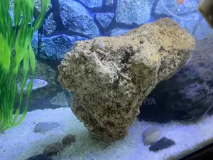 Aquarium Coral Rock Decor – The Reef Look Without the Ocean