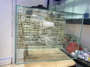 Upgrade Your Space With a Medium-Sized Aquarium