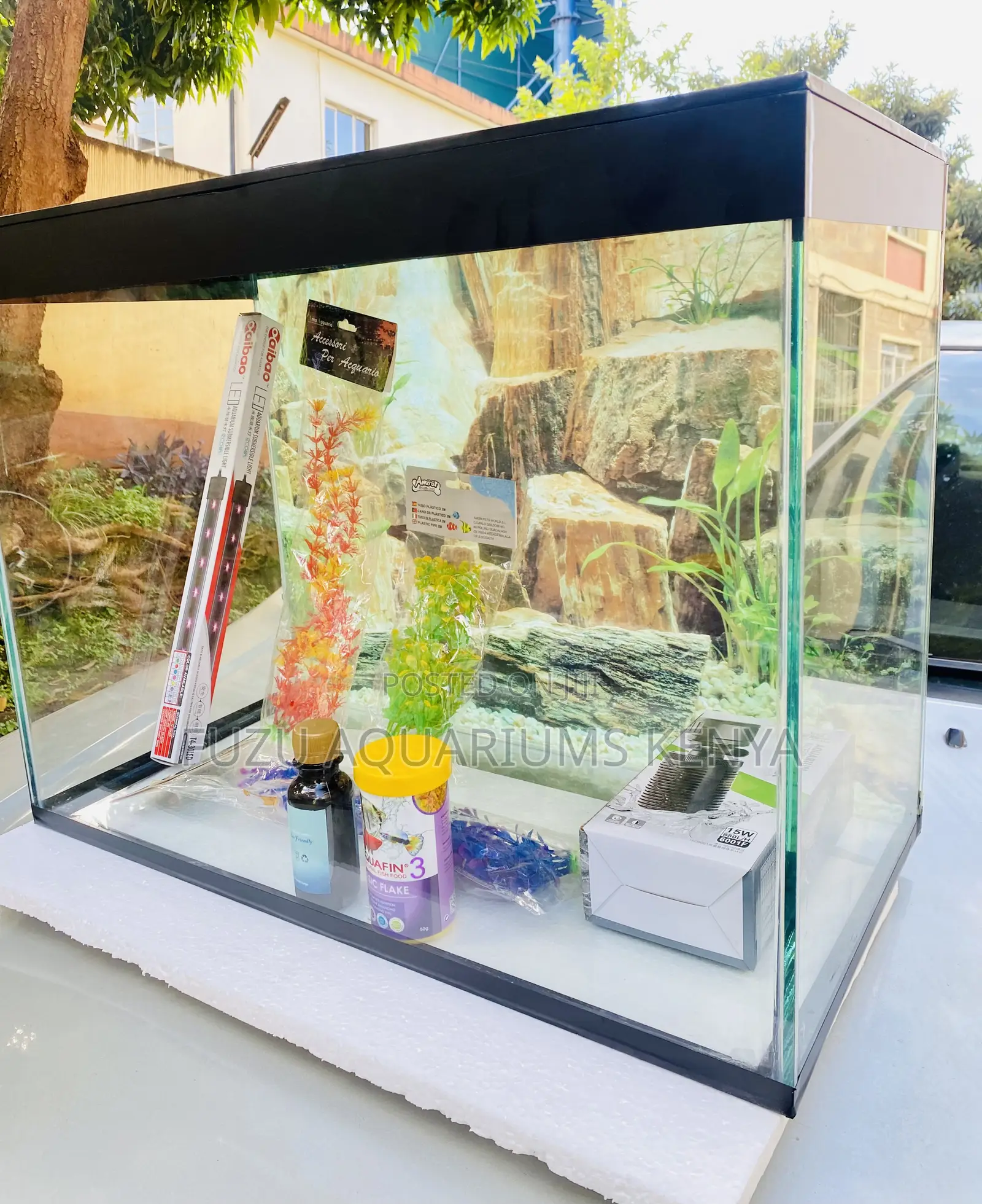 Medium Aquarium – Ideal for Beginners Hobbyists