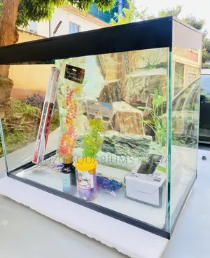 Medium Aquarium – Ideal for Beginners Hobbyists