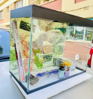 Spacious Yet Compact – Medium Fish Aquarium