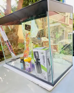 Durable Sleek Medium Aquarium for Home or Office