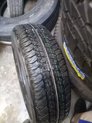 225/70r17 Grandtrek Dunlop Tyres