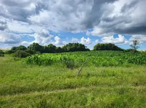 Kitengela Enkasiti Area - Next to Riverine 4 Quarte Acres