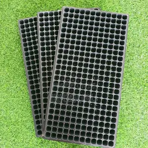 Seedling Tray
