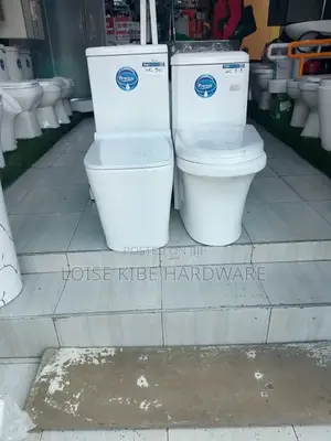 Wc Toilet Francia 501 and 313 Available