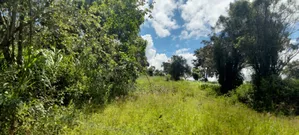 One Acre for Sale in Kirinyaga Diffadhas