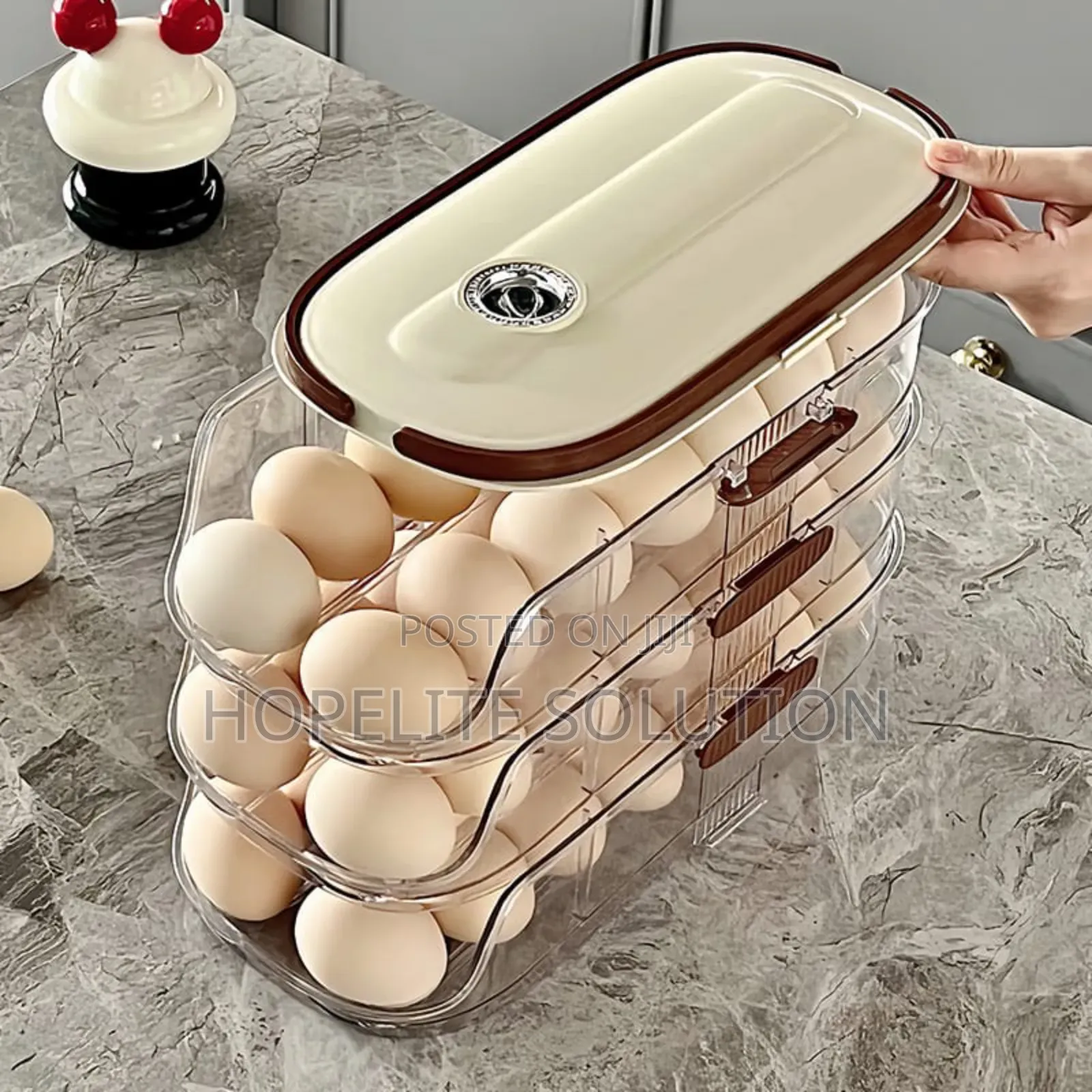 Automatic Sliding Egg Storage