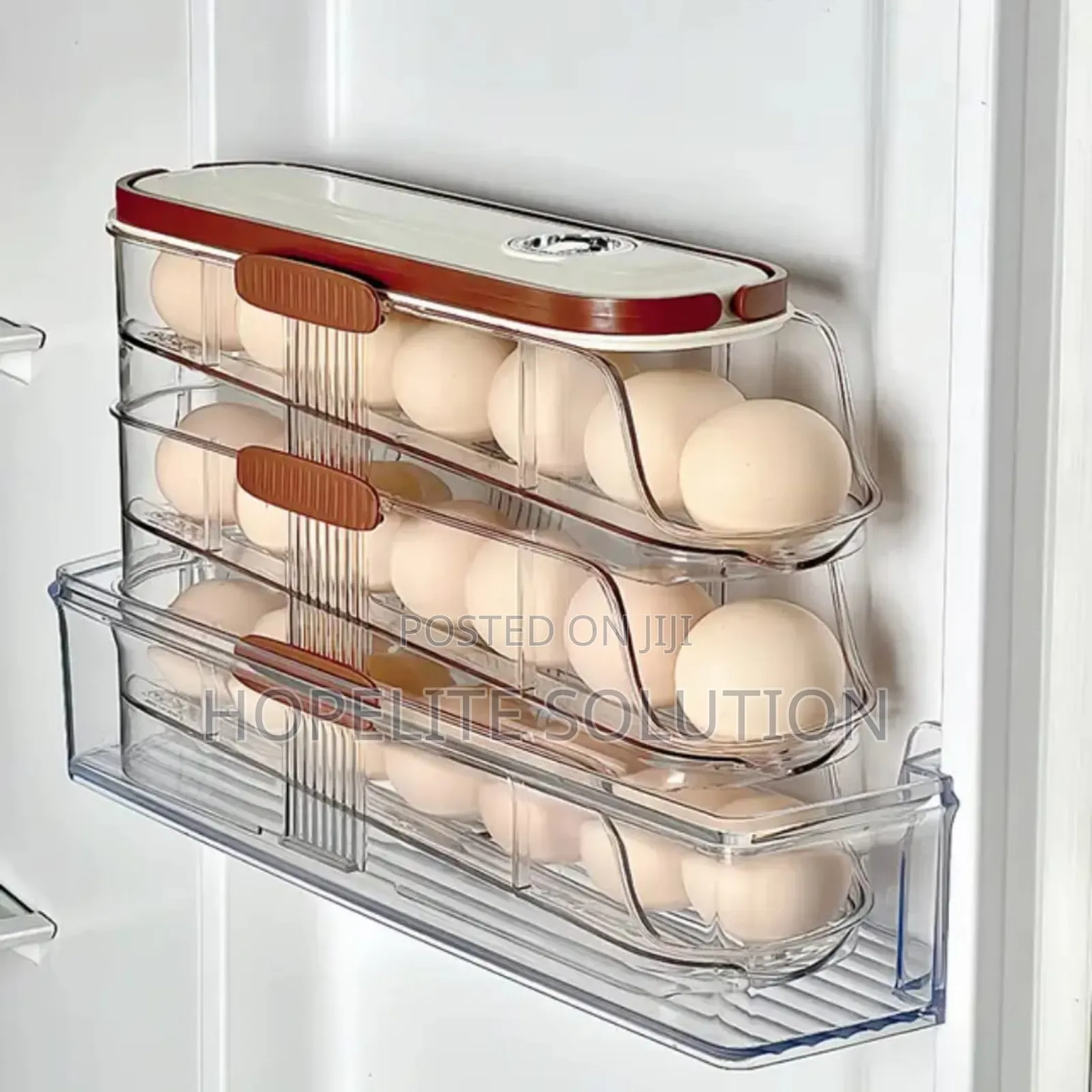 Automatic Sliding Egg Storage