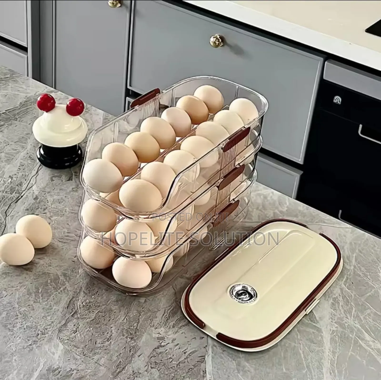 Automatic Sliding Egg Storage