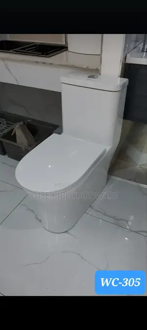 Wc305 Available P Trap Toilet